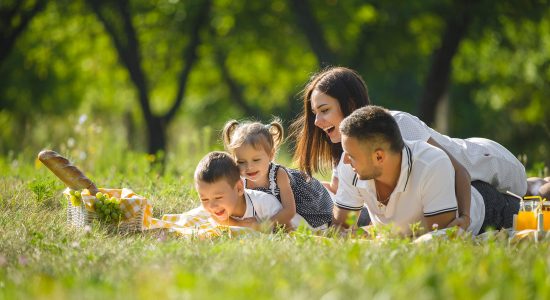 happy-family-picnic-red